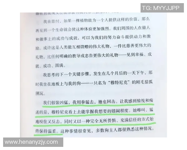 世纪大战中的心理博弈与策略解析探讨人性与战争的深层关系
